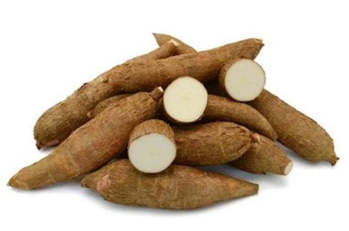 How to start a Cassava Export Business Step by step