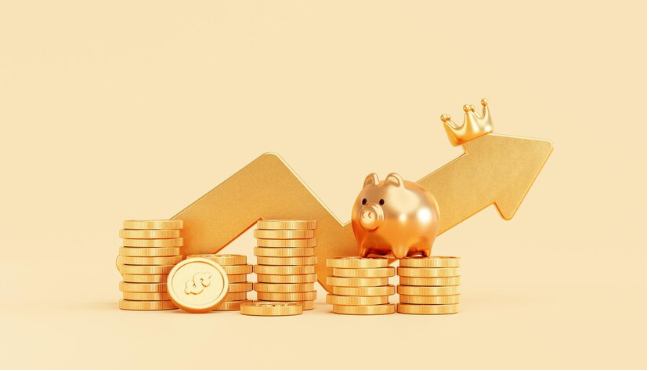 Business Investment Opportunities